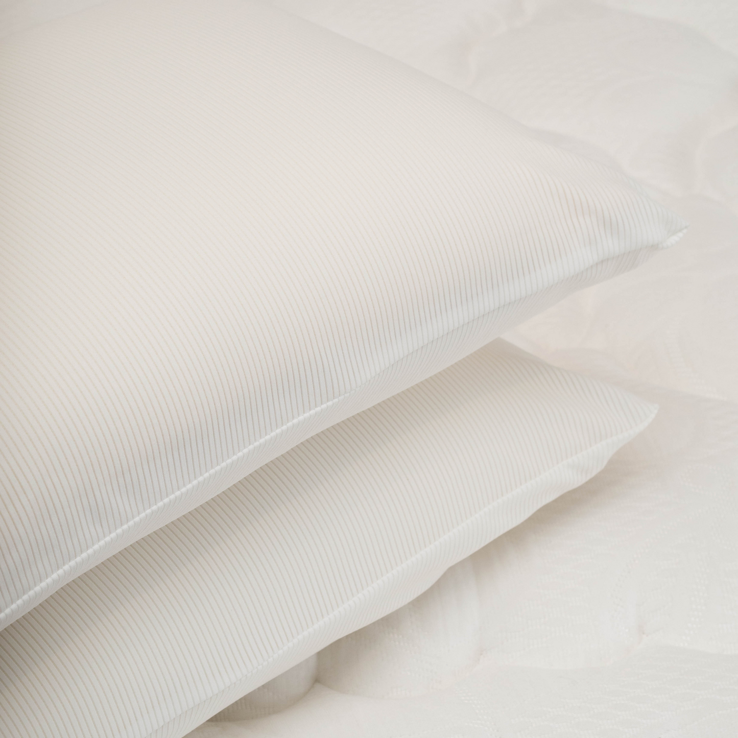 Almohada Viajera