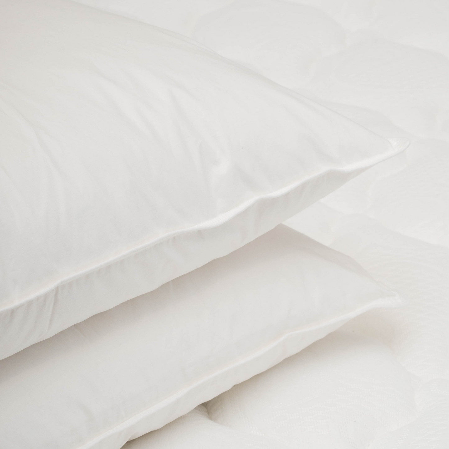Almohada Pluma 20/80