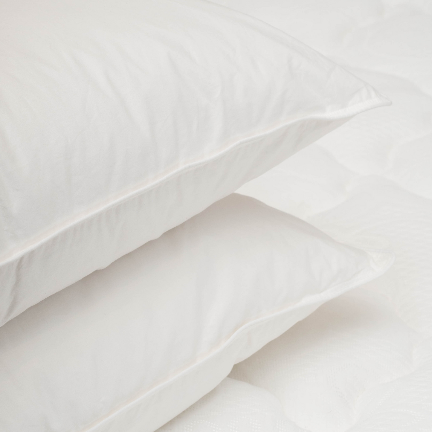 Almohada Pluma Gold