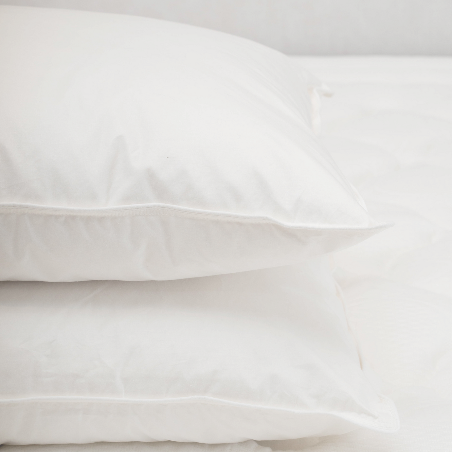 Almohada Pluma 20/80