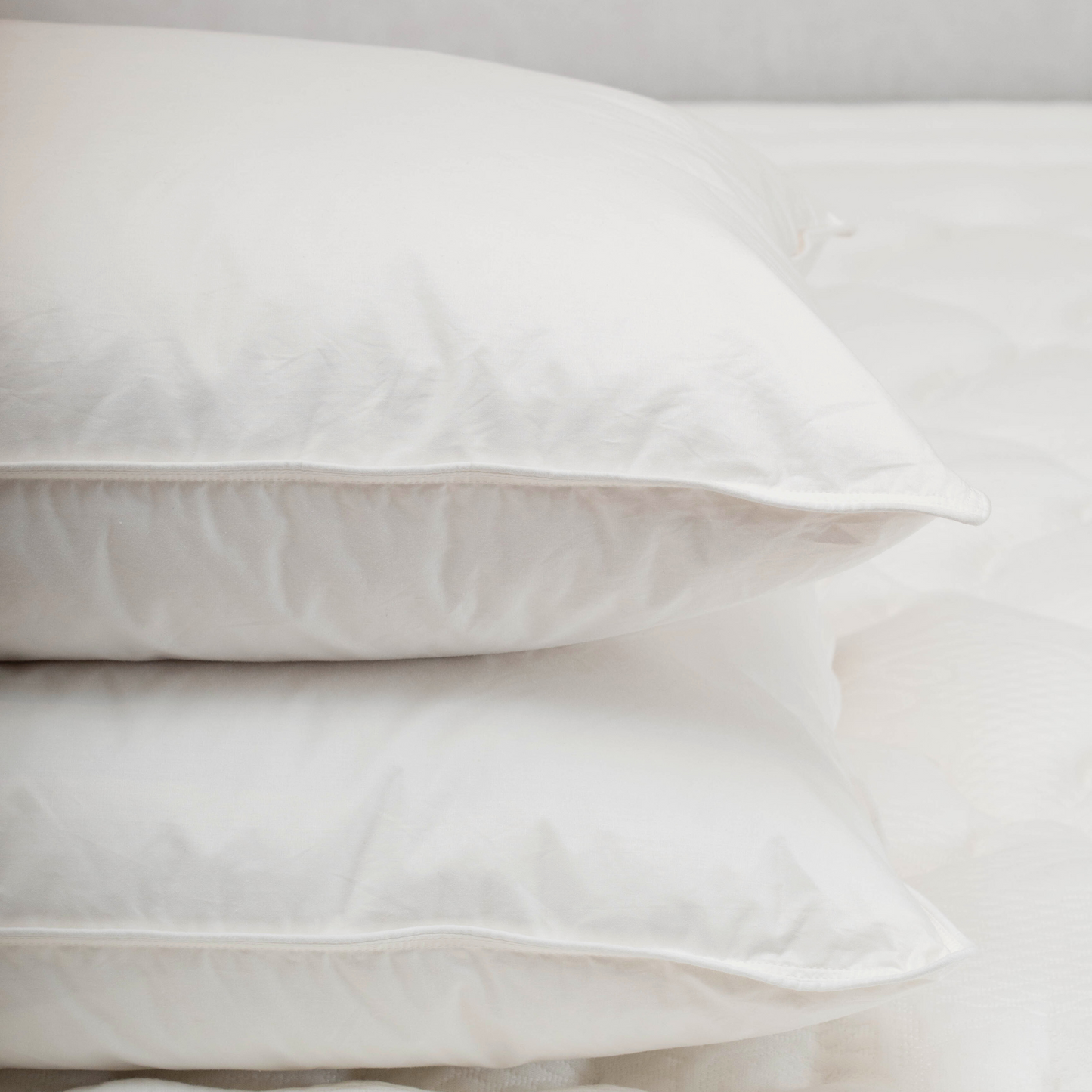 Almohada Pluma Gold