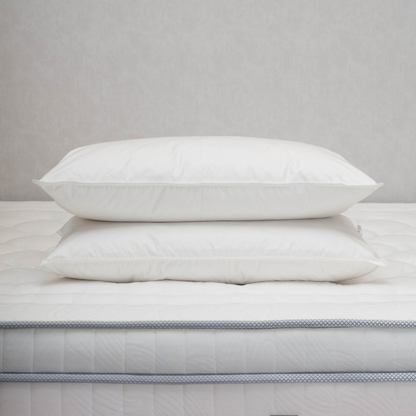 Almohada Pluma 20/80