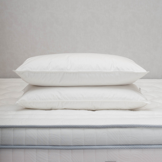 Almohada Pluma 20/80