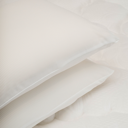 Almohada Viajera