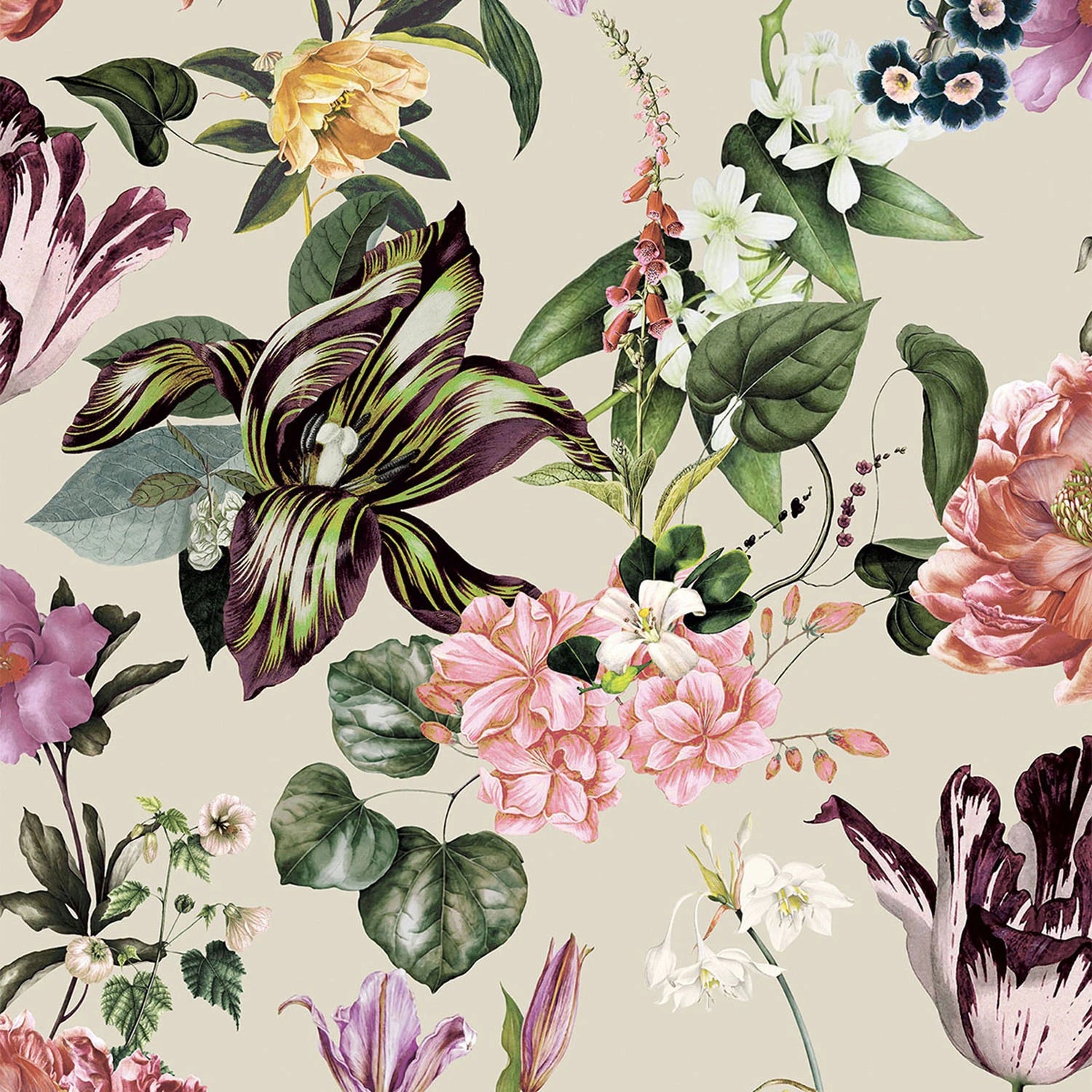 Catalogó City Garden 47461