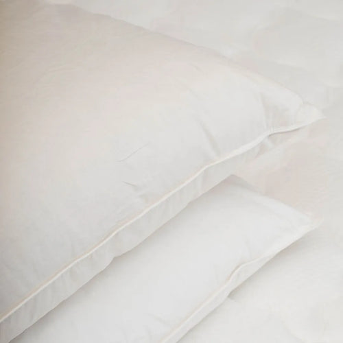 Almohada Pluma 50/50