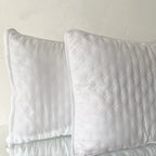 Almohada Ultrasonido