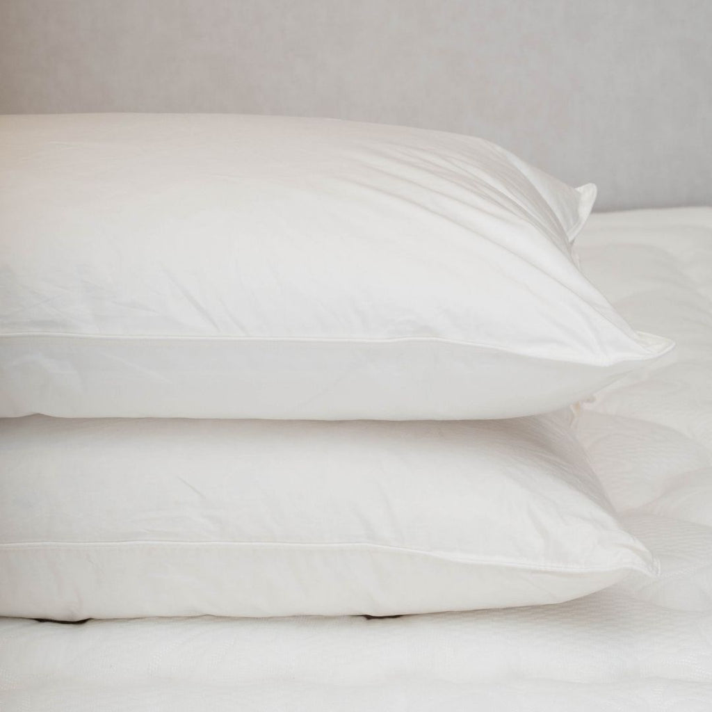 Almohada Pluma 20/80