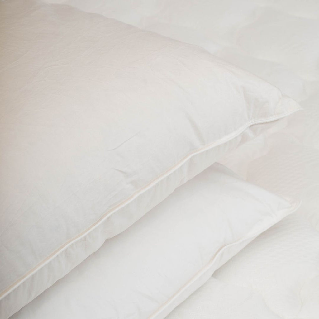 Almohada Pluma 50/50